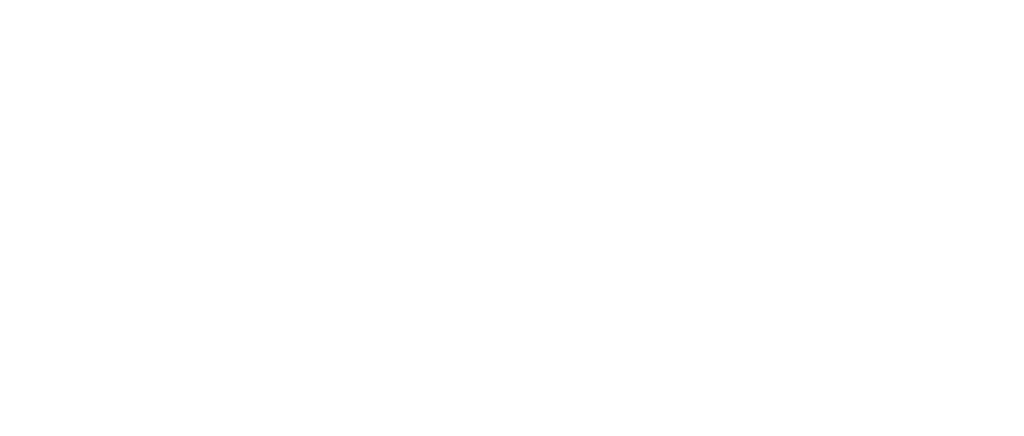 Lithium Wire Logo